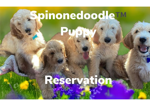 PUPPY RESERVATION DEPOSIT