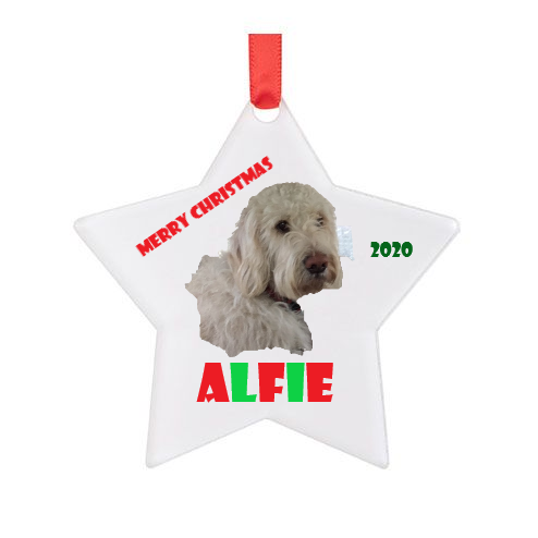 Star-shaped ornament with photo of dog