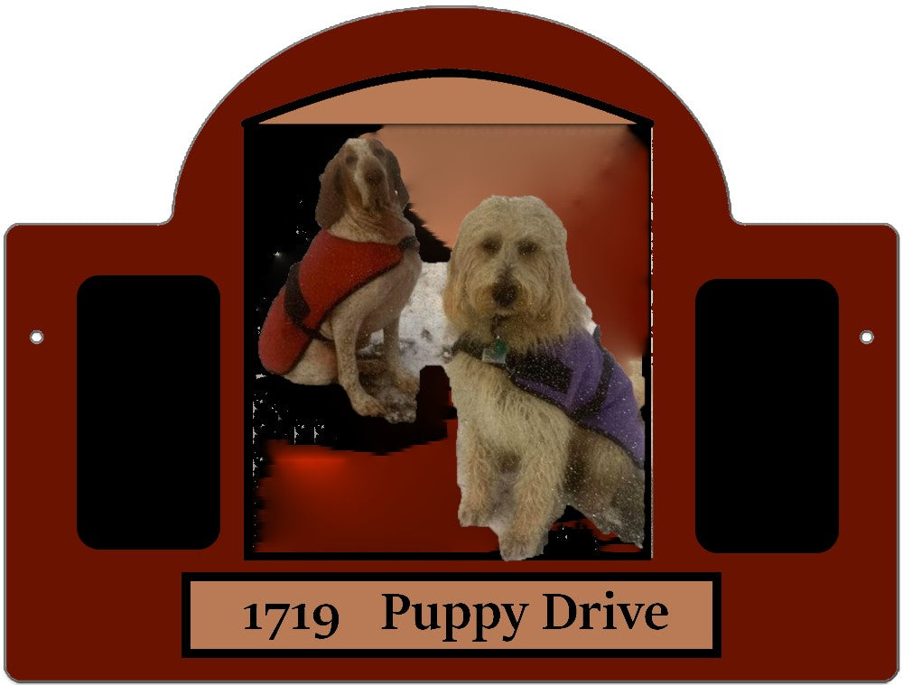 Frise & Peluche / Purple Clover Kennels Frisé & Peluche