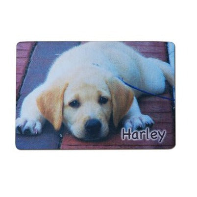 Dog placemat with photo of dog and name