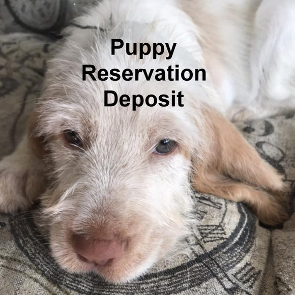 Puppy Reservation Deposit